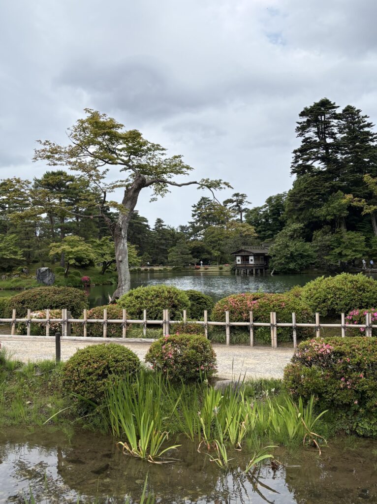 兼六園の庭園（百万石まつり期間で入場無料）