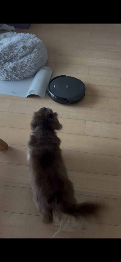 Eufyロボット掃除機