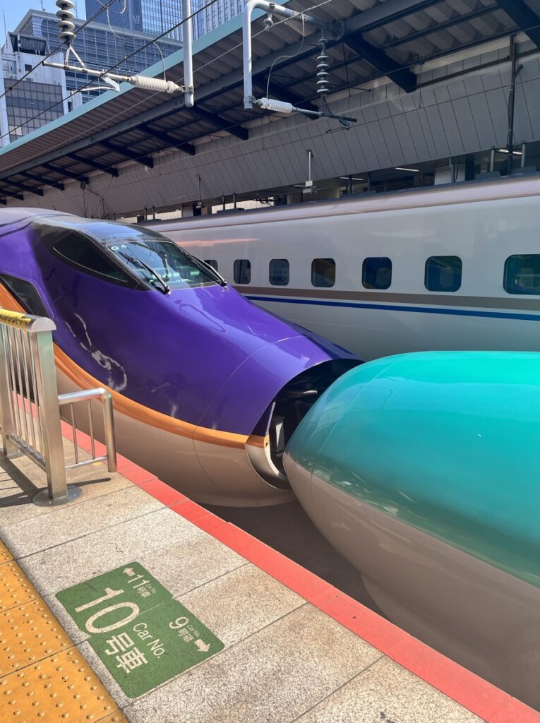 どこかにビューーン当たり駅を目指して東京駅に並ぶ山形新幹線つばさと東北新幹線はやぶさ
