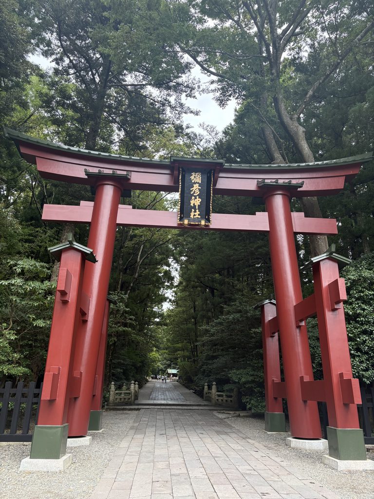 彌彦神社の大鳥居。参道の先に杉木立が続く